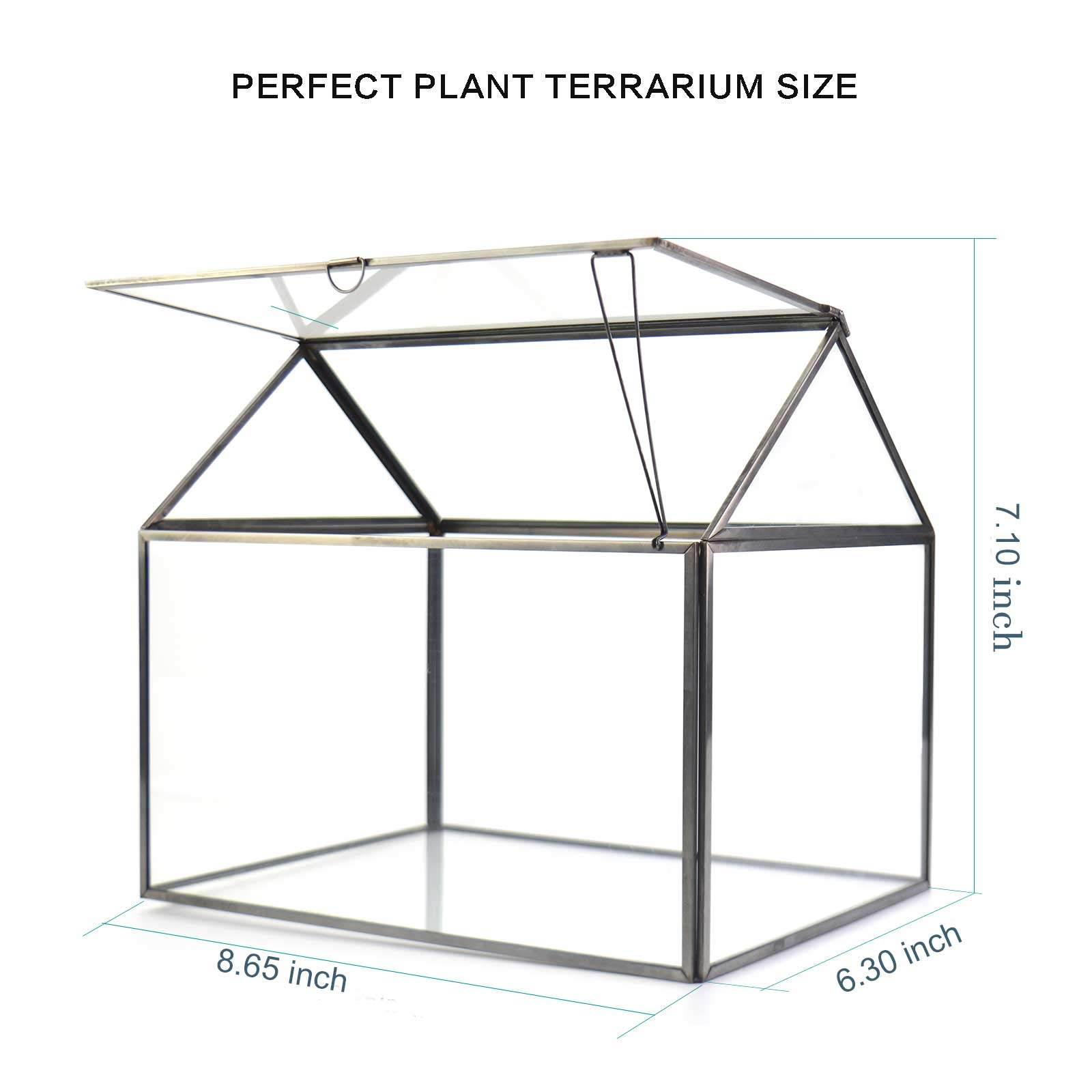 Large Glass Plant Terrarium Kit for Succulents - Black House Greenhouse Terrarium with Lip | Perfect for Indoor Plants, Home Decor & Office Desk Decorations