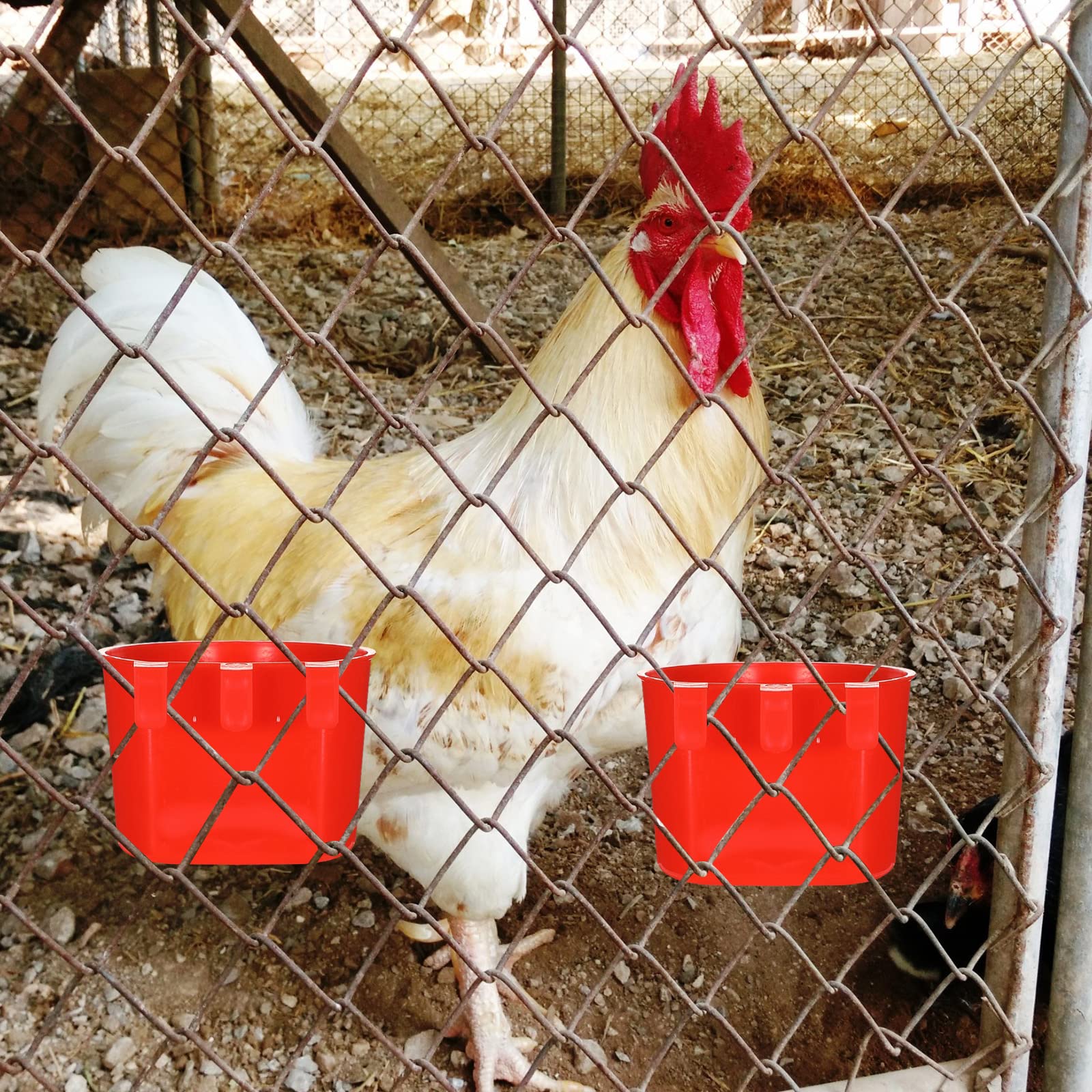 30 Pcs Plastic Bird Feeders and Water Dispenser - Hanging Cage Cups for Small Coop, Parrot, Parakeet, Chicken, Quail, Pigeon, Gamefowl - Durable Pet Poultry Food Seed Bowls & Watering Dishes (Red) - Perfect for Backyard Coops, Aviaries, and Bird Cages