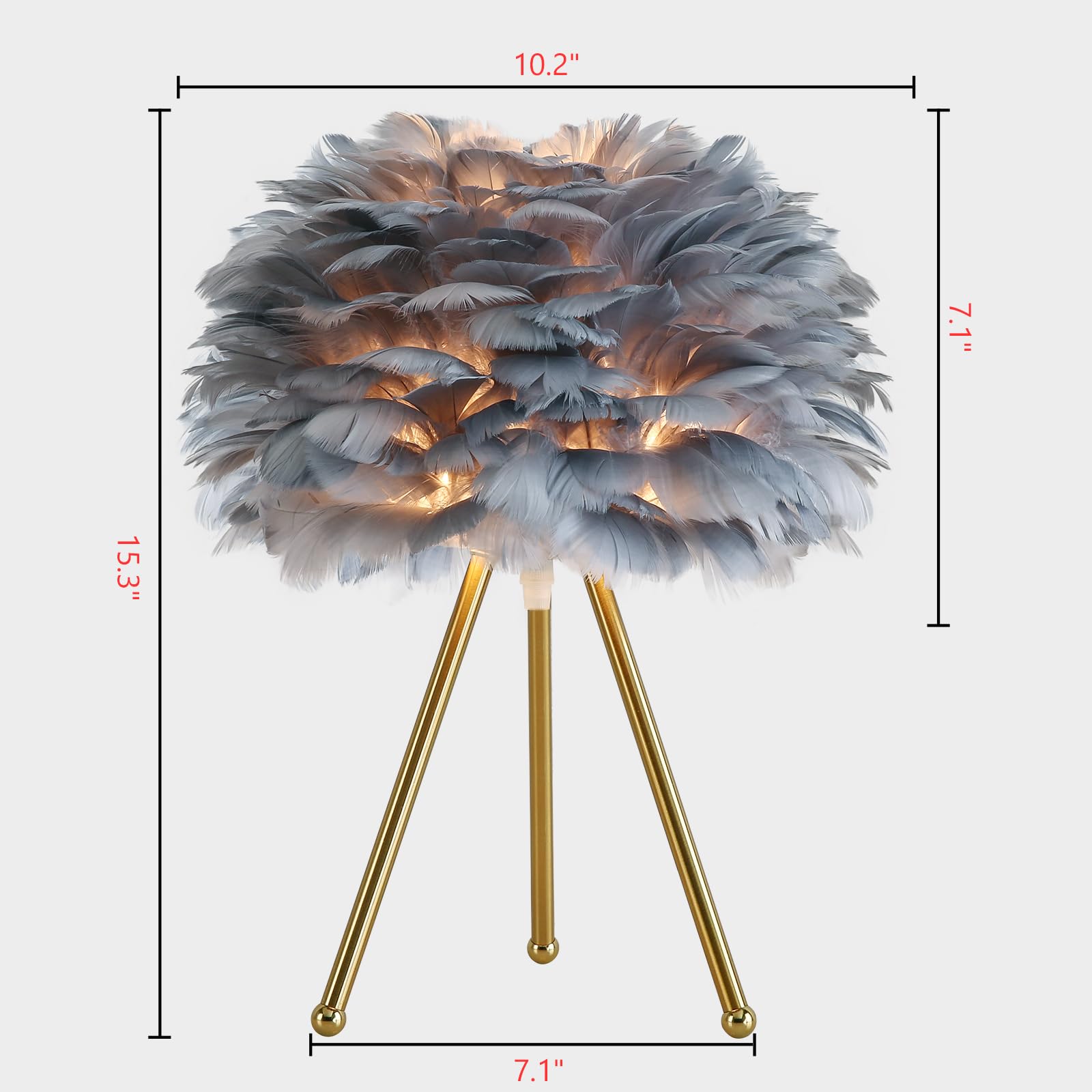 Capslpad 15.3