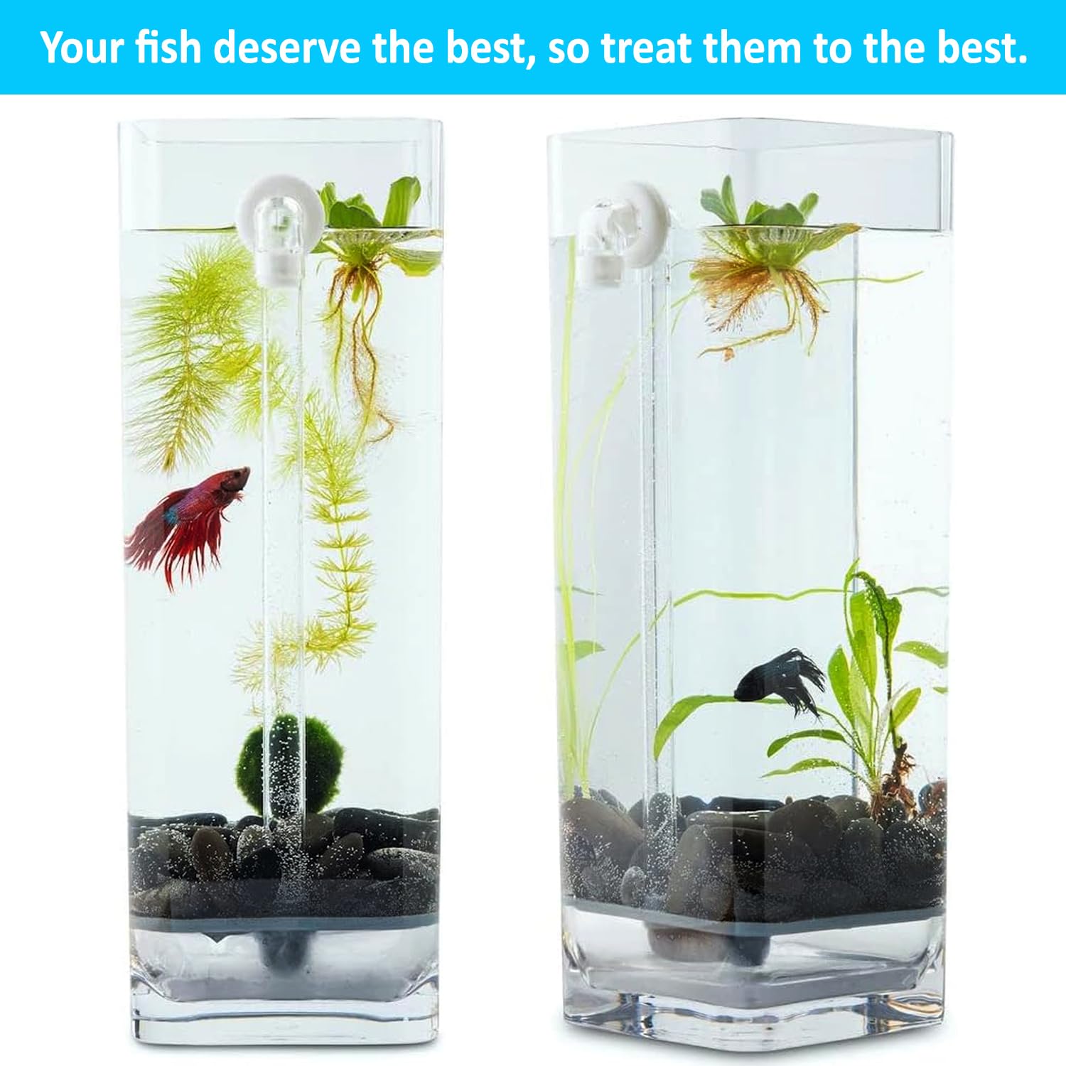 Eco-Friendly Self-Cleaning Betta Fish Tank Kit with Natural River Stones & Fish Food - Perfect for Home, Office Desk & Small Space Aquarium Setup