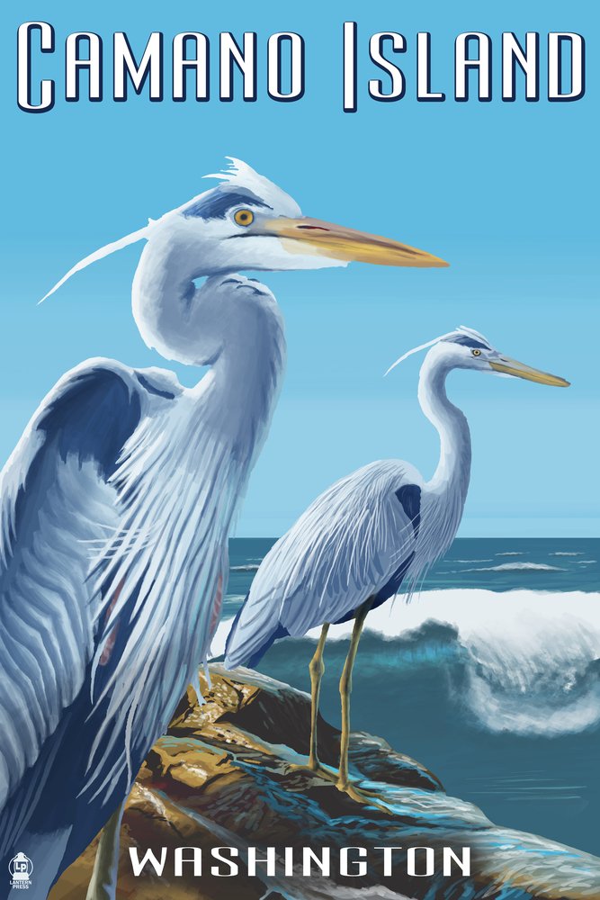 Lantern Press 16x24 Inch Giclee Art Print - Camano Island Washington Blue Heron Wall Decor - Perfect for Living Room, Bedroom & Office Wall Art