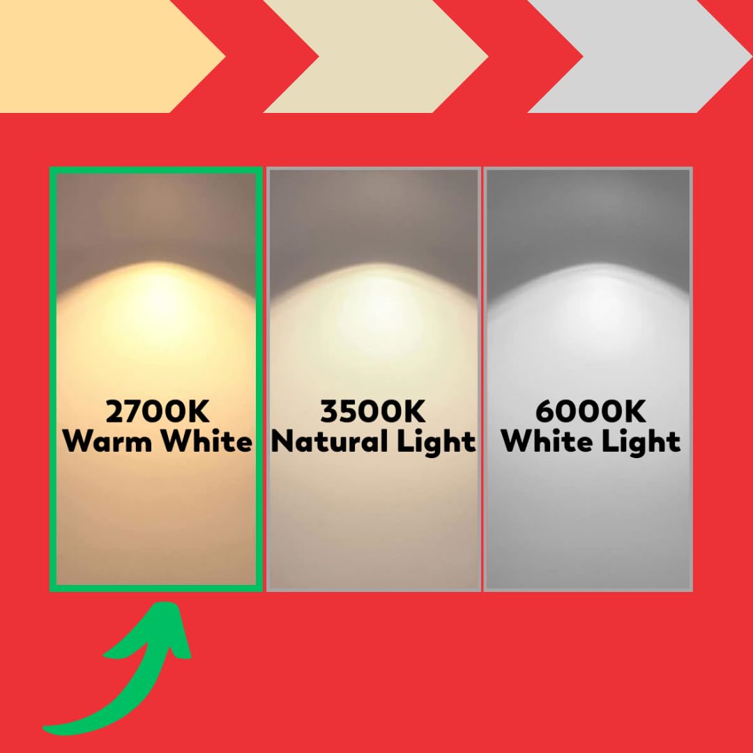 G9 Halogen Oven Bulb 40W 230V (2-Pack) - 300°C Heat Resistant Oven Light for Philips, Neff, AEG, Smeg, Zanussi & Bosch - Perfect for Baking, Roasting & Kitchen Appliance Replacement
