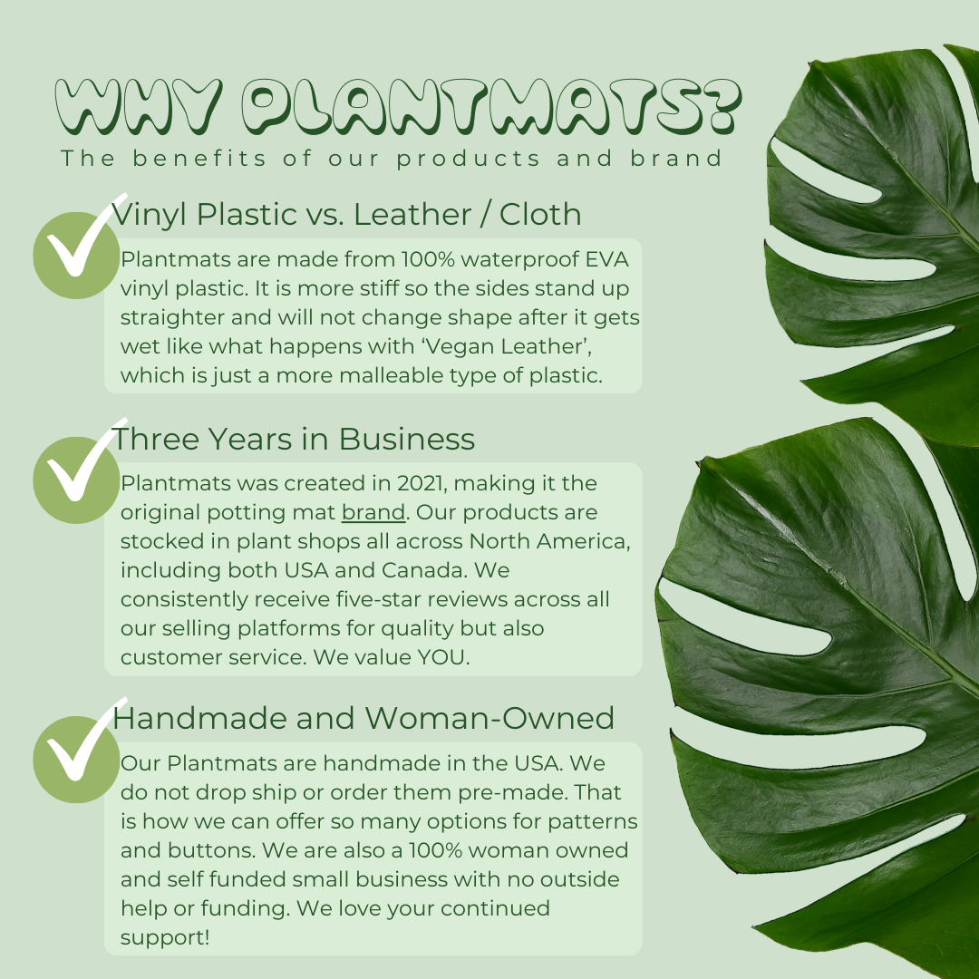 Wish Me 'Leca' Semi Hydroponic Starter Kit - Premium Clay Pebbles for Indoor Plants, Orchids & Herb Gardening | Perfect for Hydroponics, Aquaponics & Home Gardening