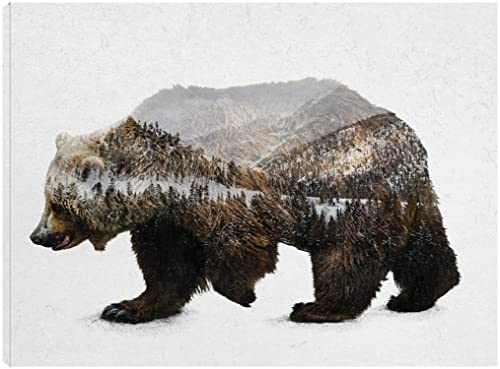 The Kodiak Brown Bear