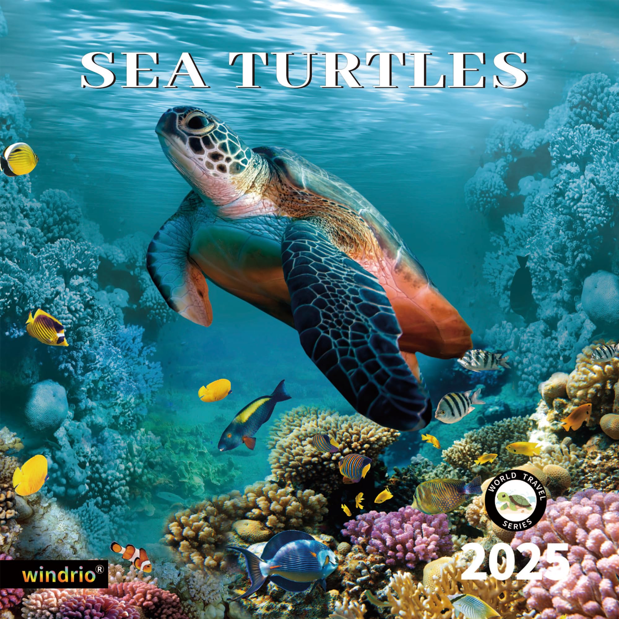 2025 Sea Turtles Wall Calendar - November 2024 to December 2025 | 12