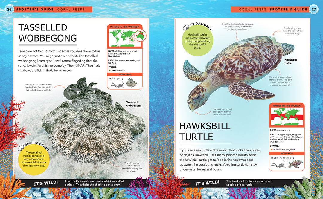 Ocean Creatures Spotter's Guide - Marine Life Identification Book for Kids & Adults - Perfect for Beach Trips, Snorkeling & Ocean Exploration