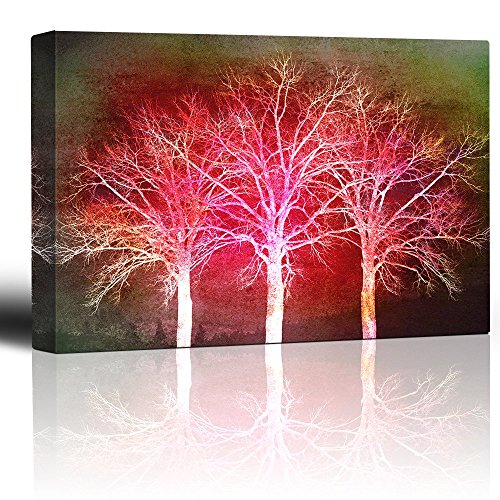 Trees With the Sunset