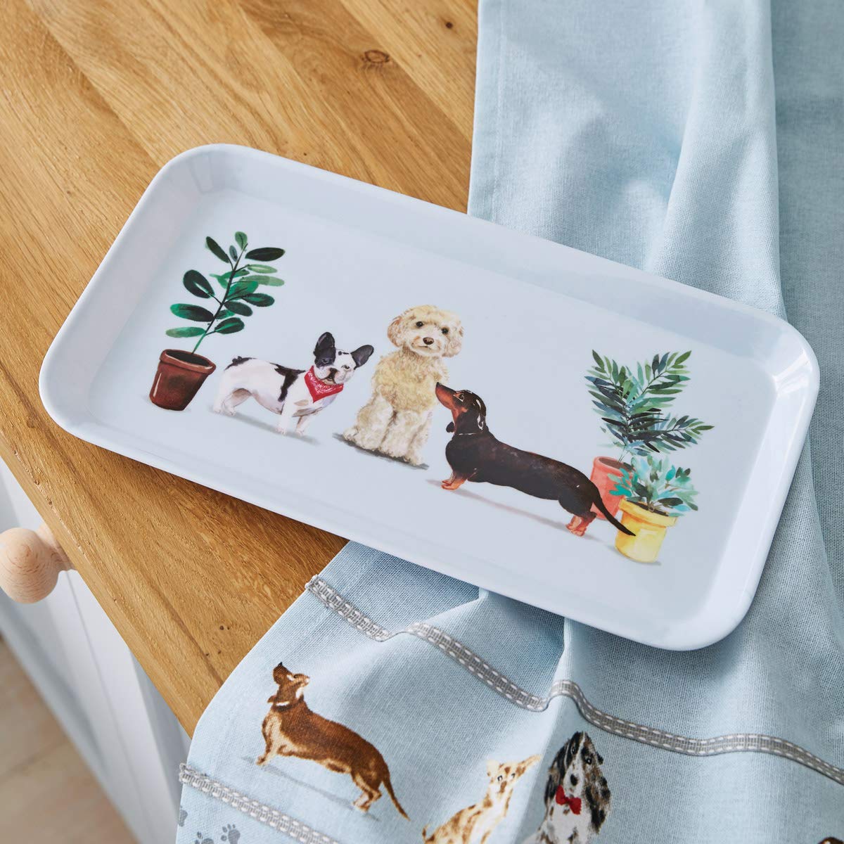 Curious Dogs Small Tray - Perfect for Pet Feeding & Snacks