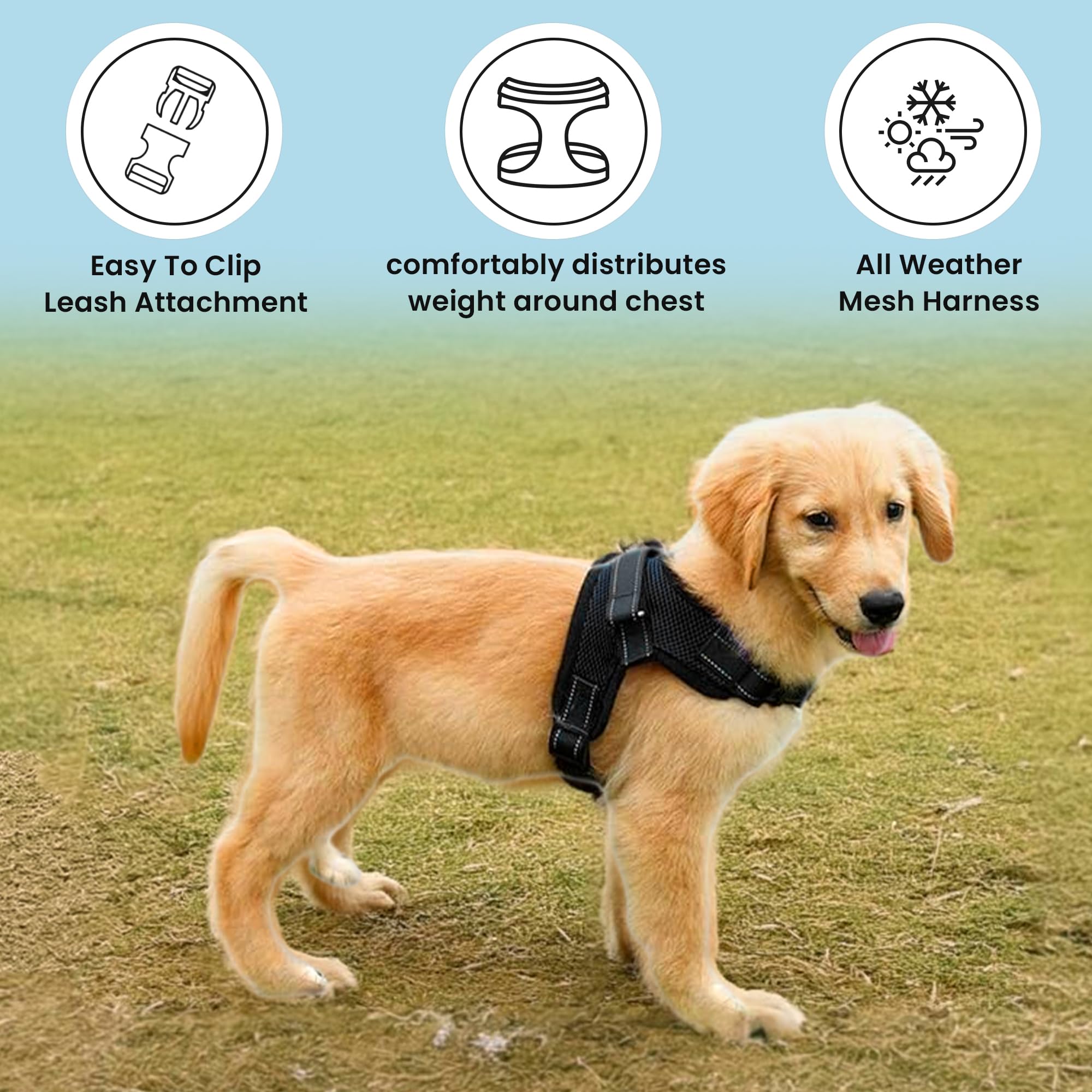 No Pull Reflective Adjustable Dog Harness with Handle - Soft Breathable Mesh for Small Medium Large Dogs - All Weather Comfort for Walking Running Hiking (Black, XX-Small)
