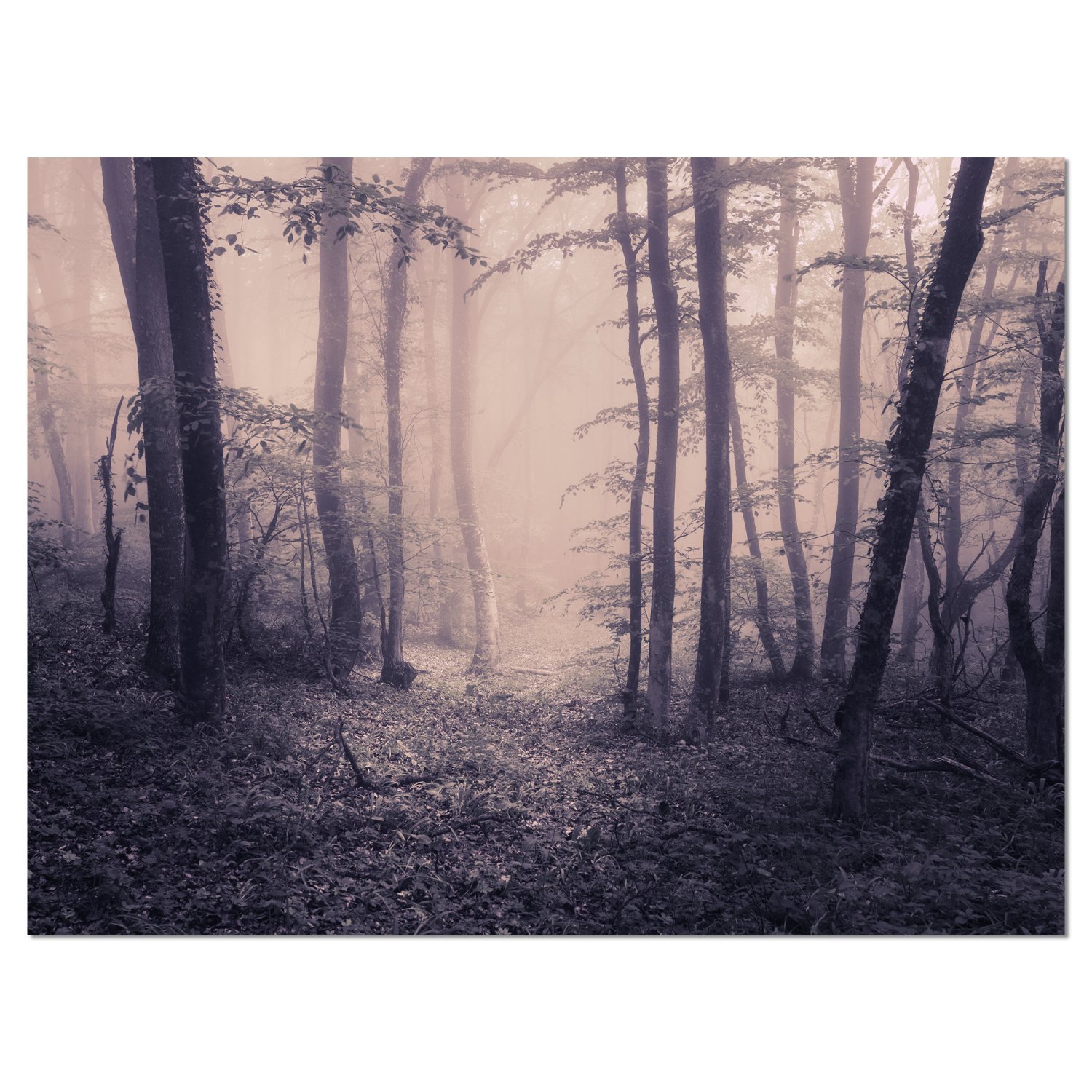 Spring Forest in Fog Landscape Photo Canvas Art Print - Nature Wall Decor for Living Room, Bedroom & Office - Perfect for Home & Office Decor