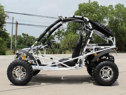 Jaguar 200 Go Kart - High Performance Racing Kart for Adults & Teens - Perfect for Outdoor Racing, Track Days & Backyard Fun