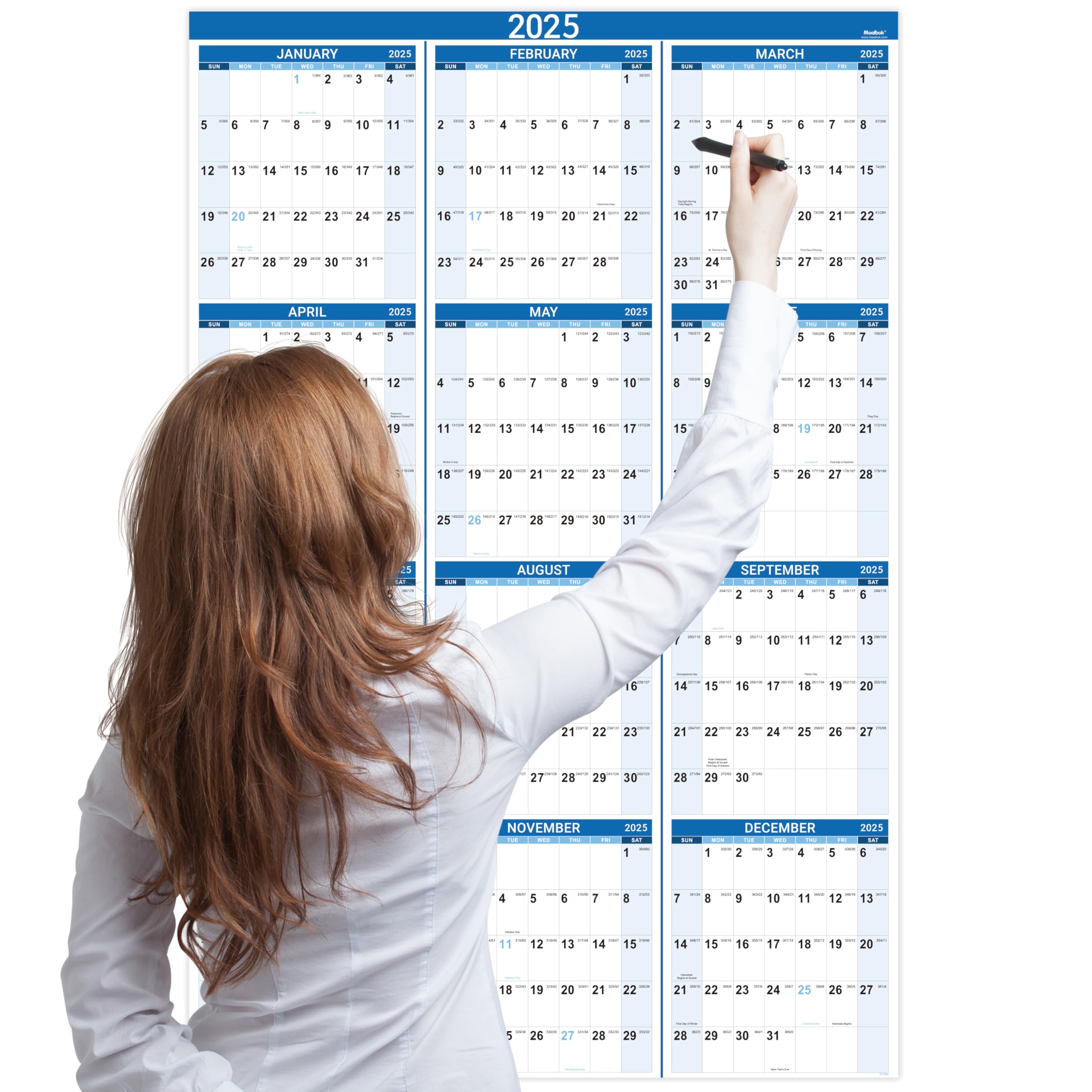 2025 Large Wall Calendar - January to December 2025 - 22.8