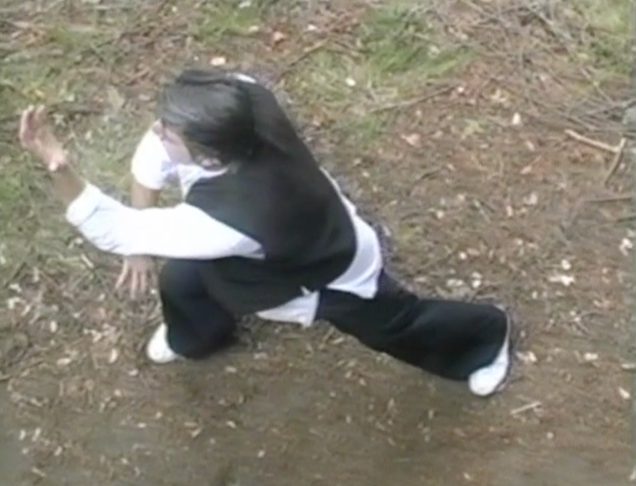 Bagua: The Art of Change DVD 2 by Ted Mancuso (Used) - Learn Ancient Chinese Martial Arts for Self-Defense & Meditation