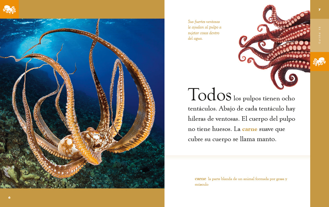 El Pulpo Octopus Book 9781640266957 - Learn About Marine Life, Perfect for Kids & Ocean Enthusiasts