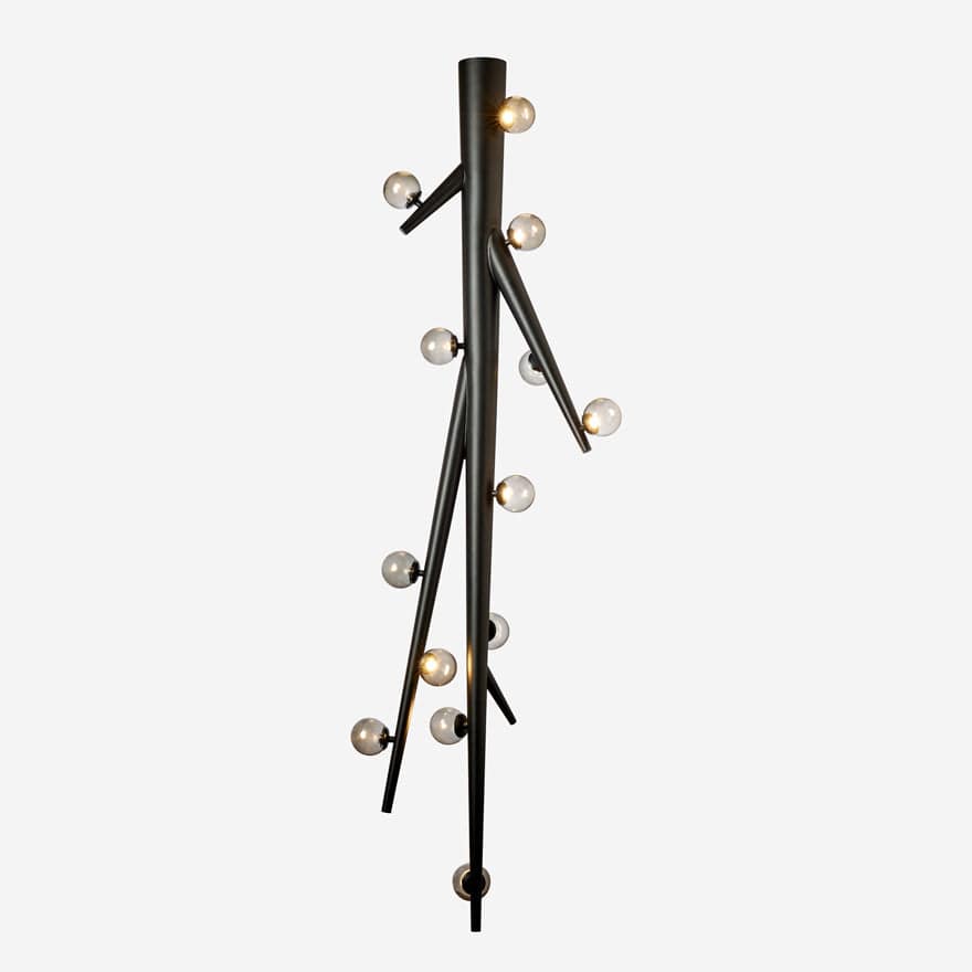 Thorn - Premium Quality Thorn for Gardening, Landscaping, and DIY Projects | Perfect for Home Decor, Fencing, and Crafting