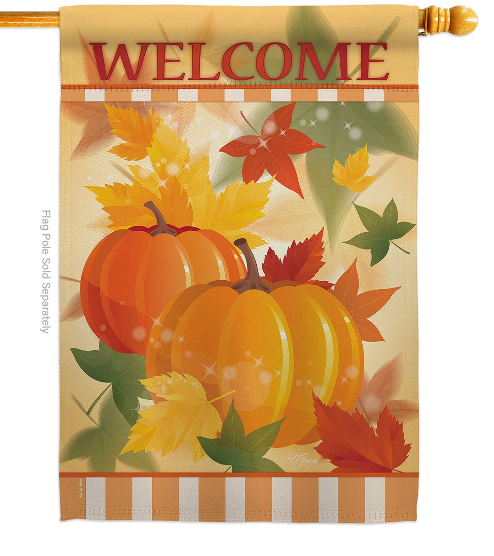 Fall Pumpkin Sublimation Flag 28x40