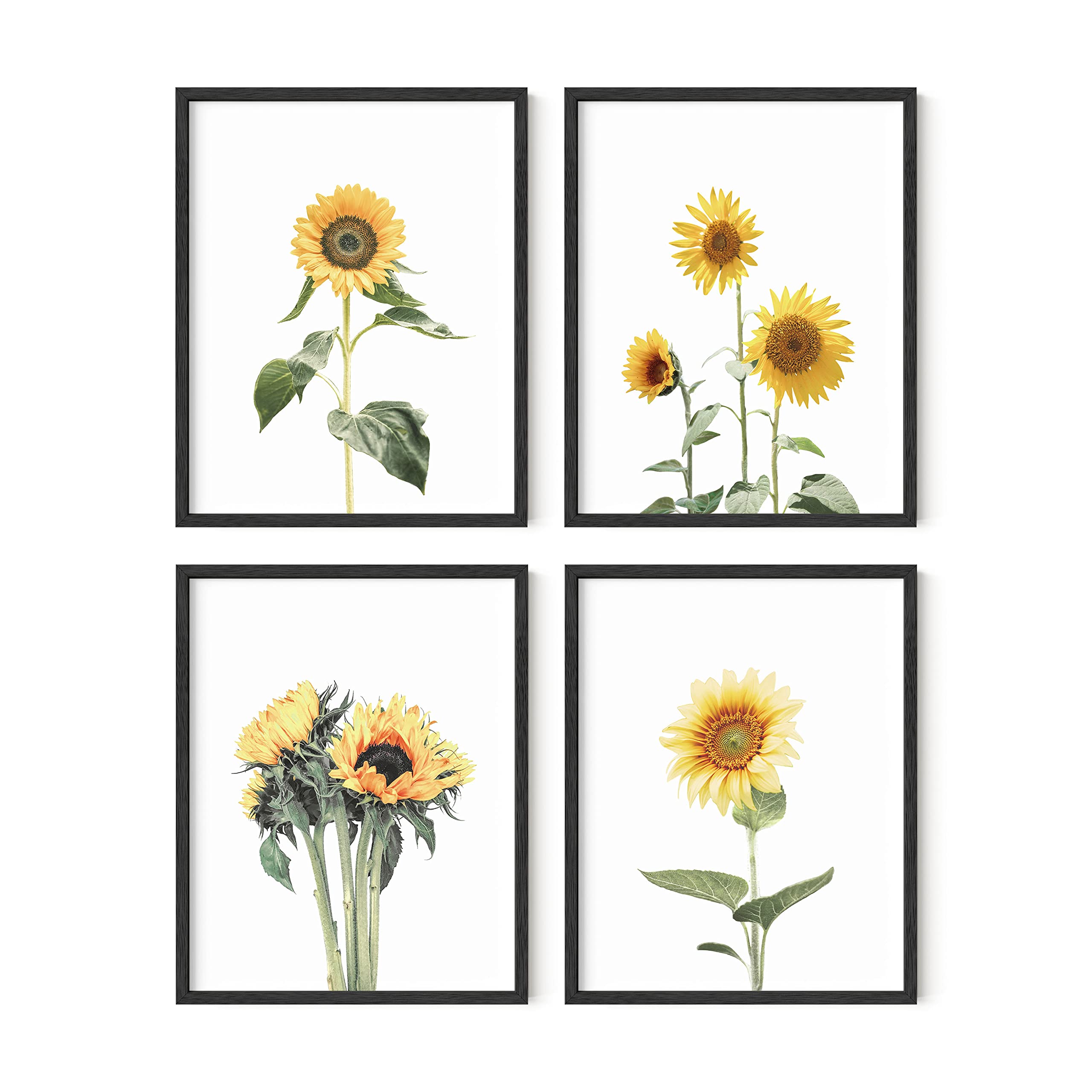 HAUS AND HUES Sunflower Wall Art Set - 4 Pack Framed Sunflower Paintings for Bedroom & Kitchen Decor (11x14, Black Frame) | Perfect for Farmhouse, Boho & Modern Home Aesthetic
