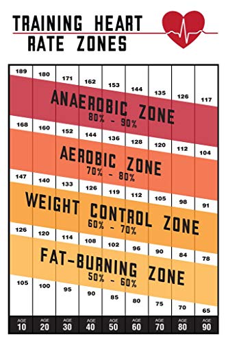 Heart Rate Zones Light | 12881