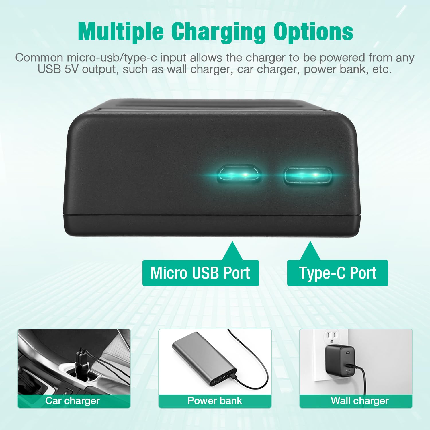 FirstPower DMW-BLC12 Replacement Battery & Dual USB Charger for Panasonic Lumix G7, G85, G95, FZ1000, GH2, G5, G6, GX8, FZ200, FZ300 Digital Cameras - Perfect for Travel, Vlogging & Professional Photography