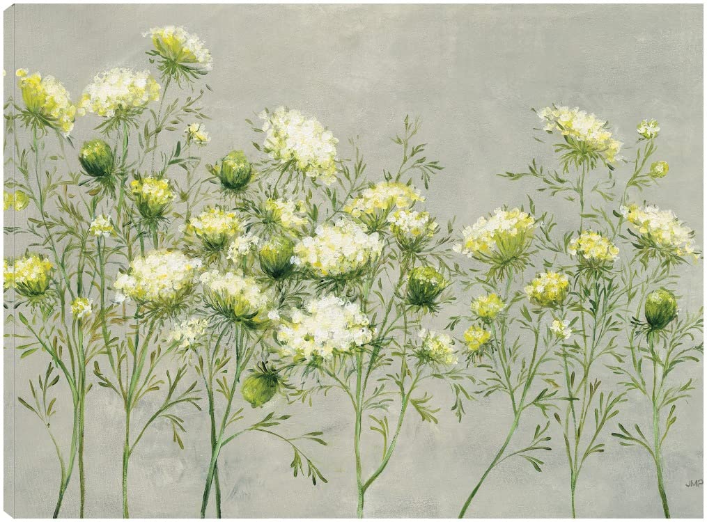 Queen Anne's Lace Fine Art Canvas Wall Decor by Julia Purinton - 43x32 Inches - Ready to Hang for Living Room, Bedroom, Office & More - Perfect for Home, Kitchen, Bathroom & Dining Room Decor