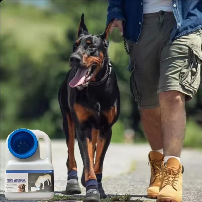 **Istara Portable Dog Water Bottle - Foldable, Splash-Free Pet Feeder & Travel Bowl for Dogs, BPA-Free - Perfect for Hiking, Camping, and Car Rides**