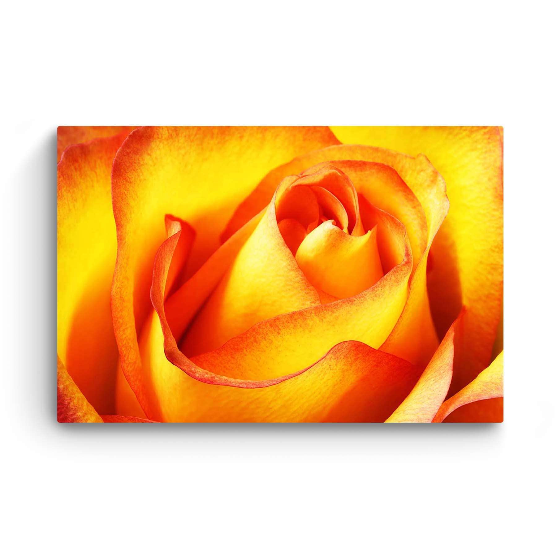 Red Orange Macro Rose Petals Flowers Canvas Wall Art - Stretched & Framed Modern Painting Print (24