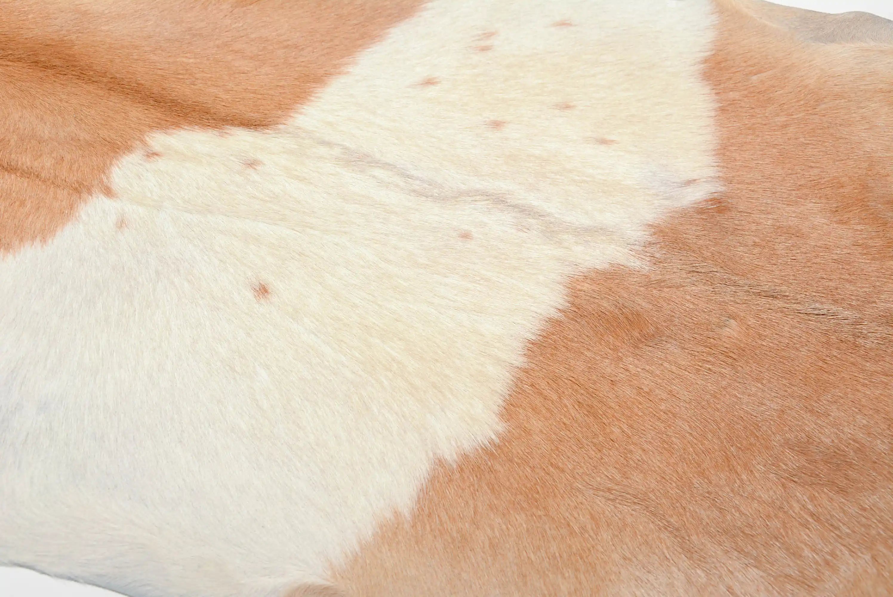 Premium Natural Goat Skin Leather - Light Tan & White for DIY Crafts, Upholstery, and Fashion Accessories | High-Quality Durable Material for Bags, Wallets & Home Decor