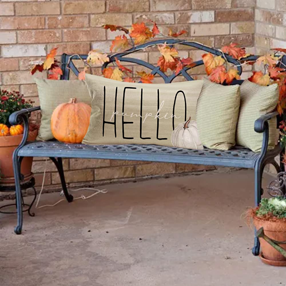 Smilyard Hello Pumpkin Pillow Covers 12x20 Inch - Fall Decor Grey Pumpkins with Seasonal Quotes, Autumn Harvest Farmhouse Cushion Covers for Thanksgiving, Halloween, and Home Decor | Perfect for Sofa, Bed, Porch & Seasonal Display