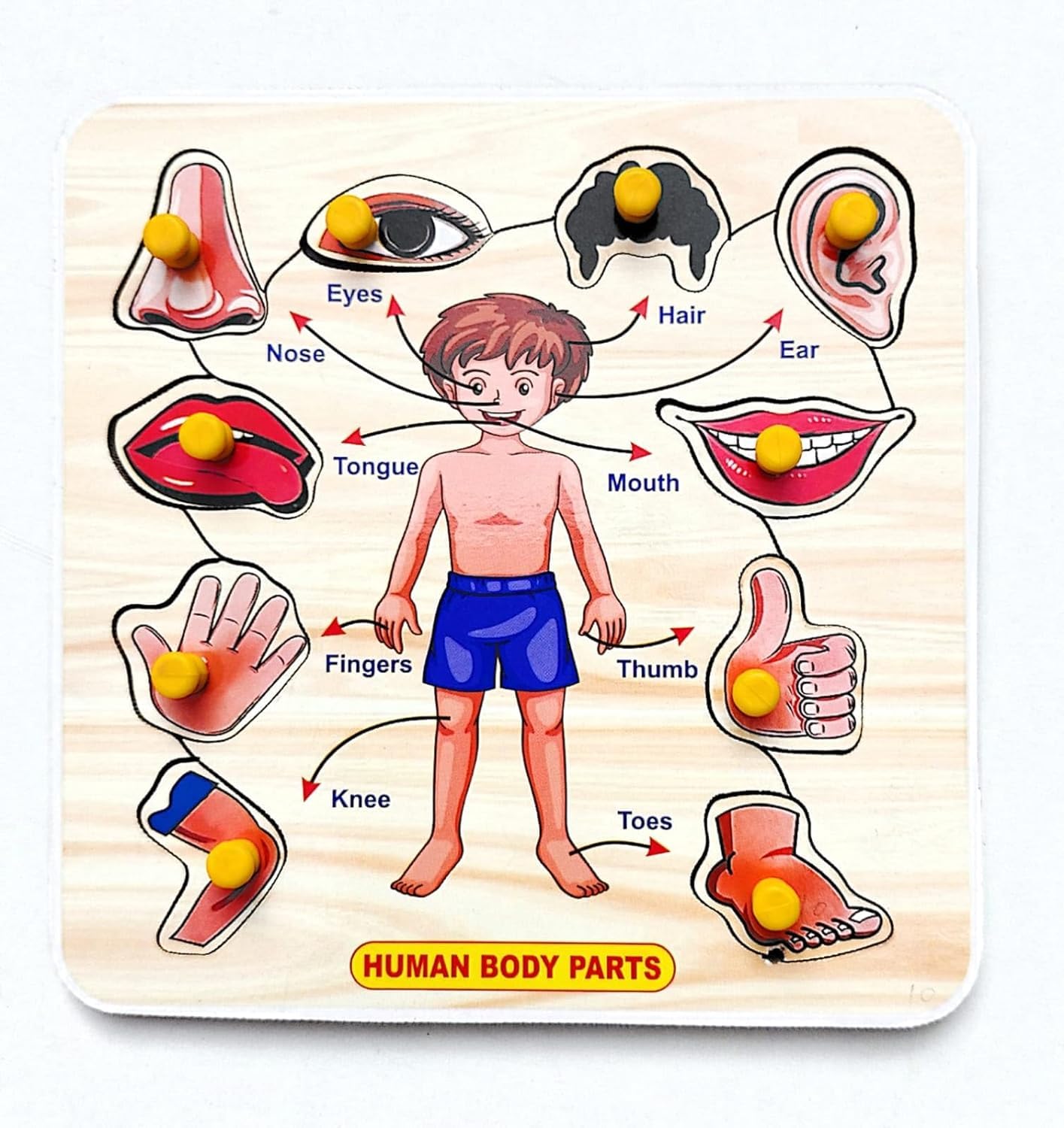EL SMO Wooden Jigsaw Puzzles - Vegetable Body Parts Learning Game, Educational Toys for Kids & Adults (2-Pack) - Perfect for Family Game Night & Preschool Learning Activities