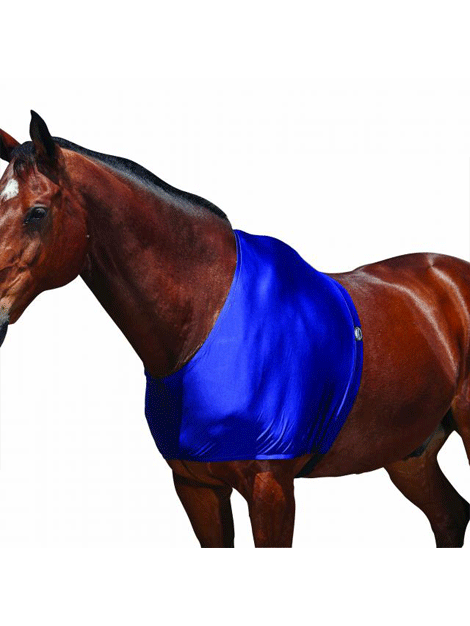 Weatherbeeta Stretch Shoulder Guard for Horses - Breathable & Adjustable Horse Riding Protection for Training & Competition