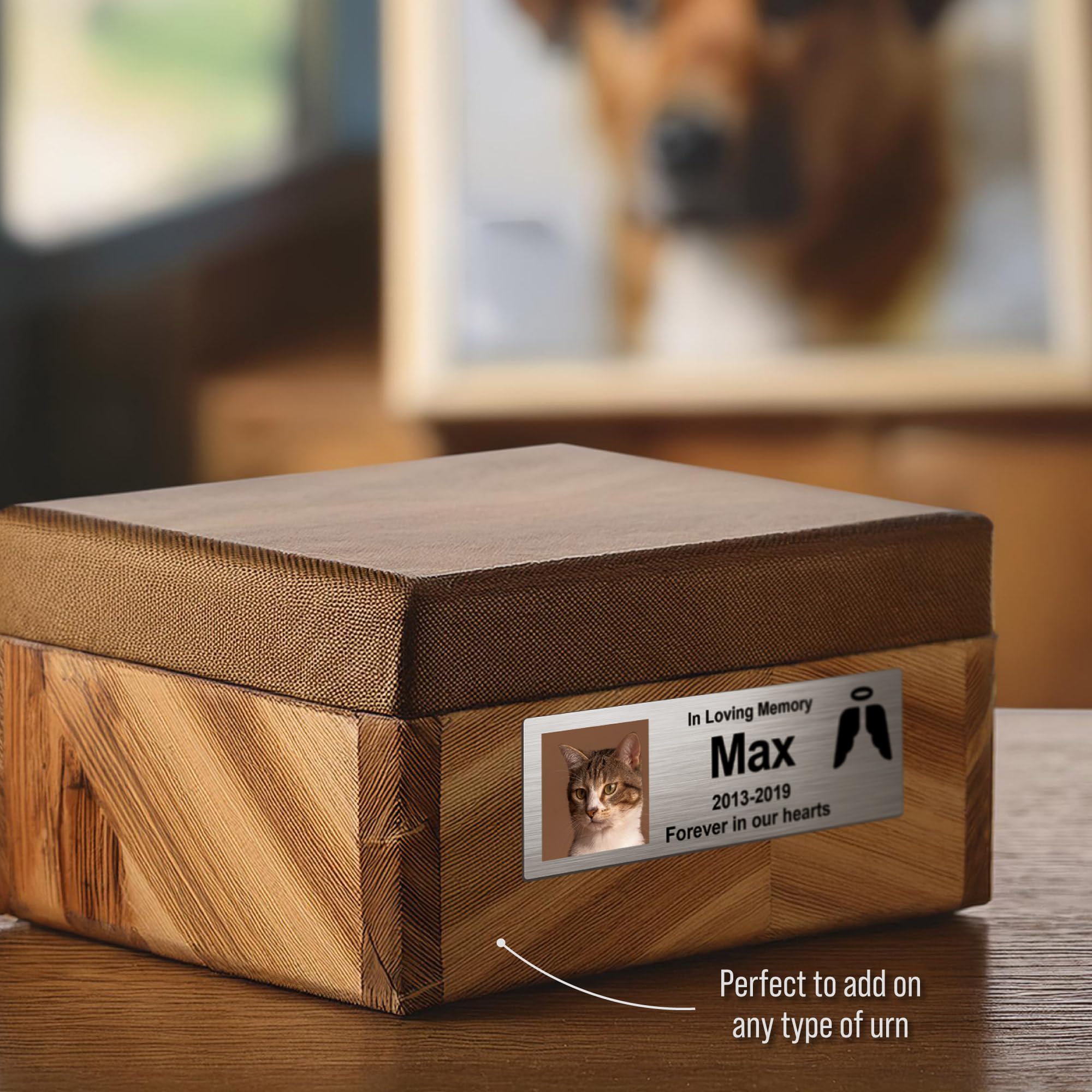 Personalized Stainless Steel Pet Memorial Nameplate - Custom Engraved Text & Photo for Urns & Ashes Boxes with Adhesive Backing | Perfect for Pet Remembrance, Memorial Gifts & Keepsakes