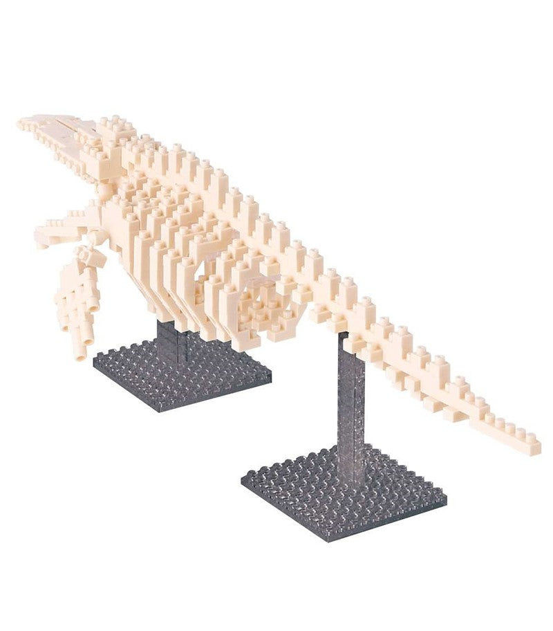 Nanoblock Blue Whale Skeleton Building Kit - NBM 010 - DIY Micro Blocks for Adults & Kids - Perfect for Home Decor, Office Display & STEM Education