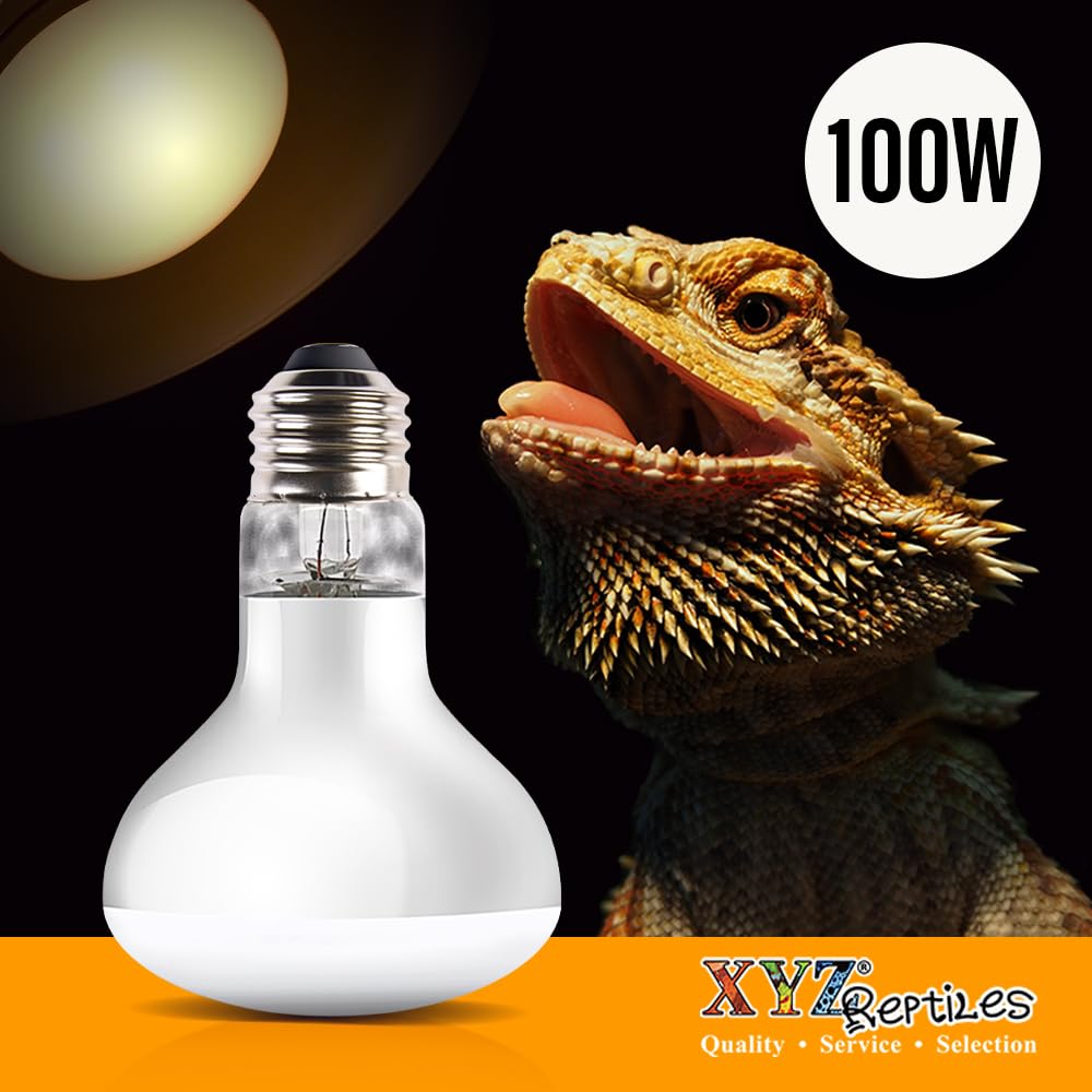 100W Reptile Heat Lamp Bulb - UVA Daylight Basking Light for Bearded Dragons, Lizards & Tortoises | Terrarium Heating Solution for Reptile Habitats & Pet Enclosures