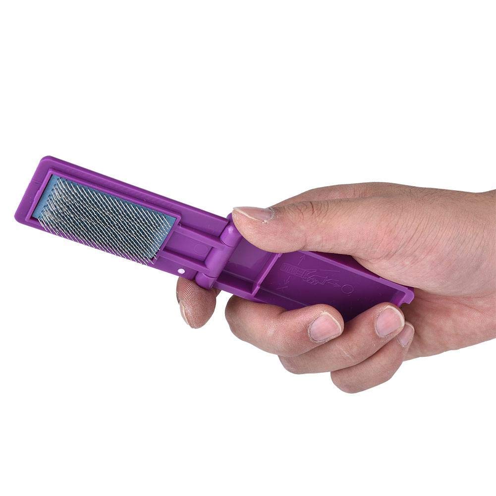 Latin Salsa Tango Dance Shoe Brush - Portable Foldable Ballroom Dancing Shoe Cleaner for Women & Men (5 Colors - Purple) | Perfect for Dance Studios, Competitions & Practice Sessions