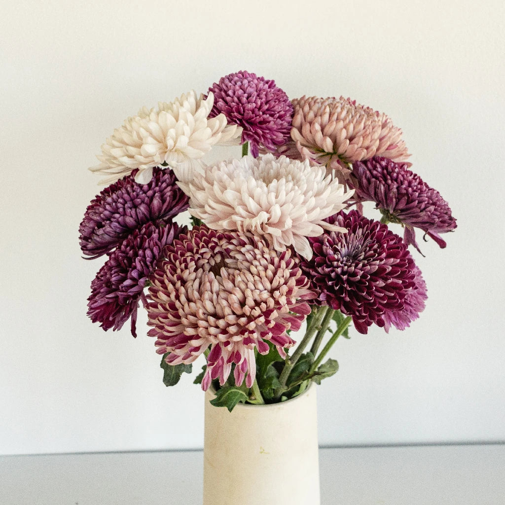 Premium Berry Toned Chrysanthemum Flower Arrangement Kit - DIY Floral Decor for Home, Wedding & Party Centerpieces