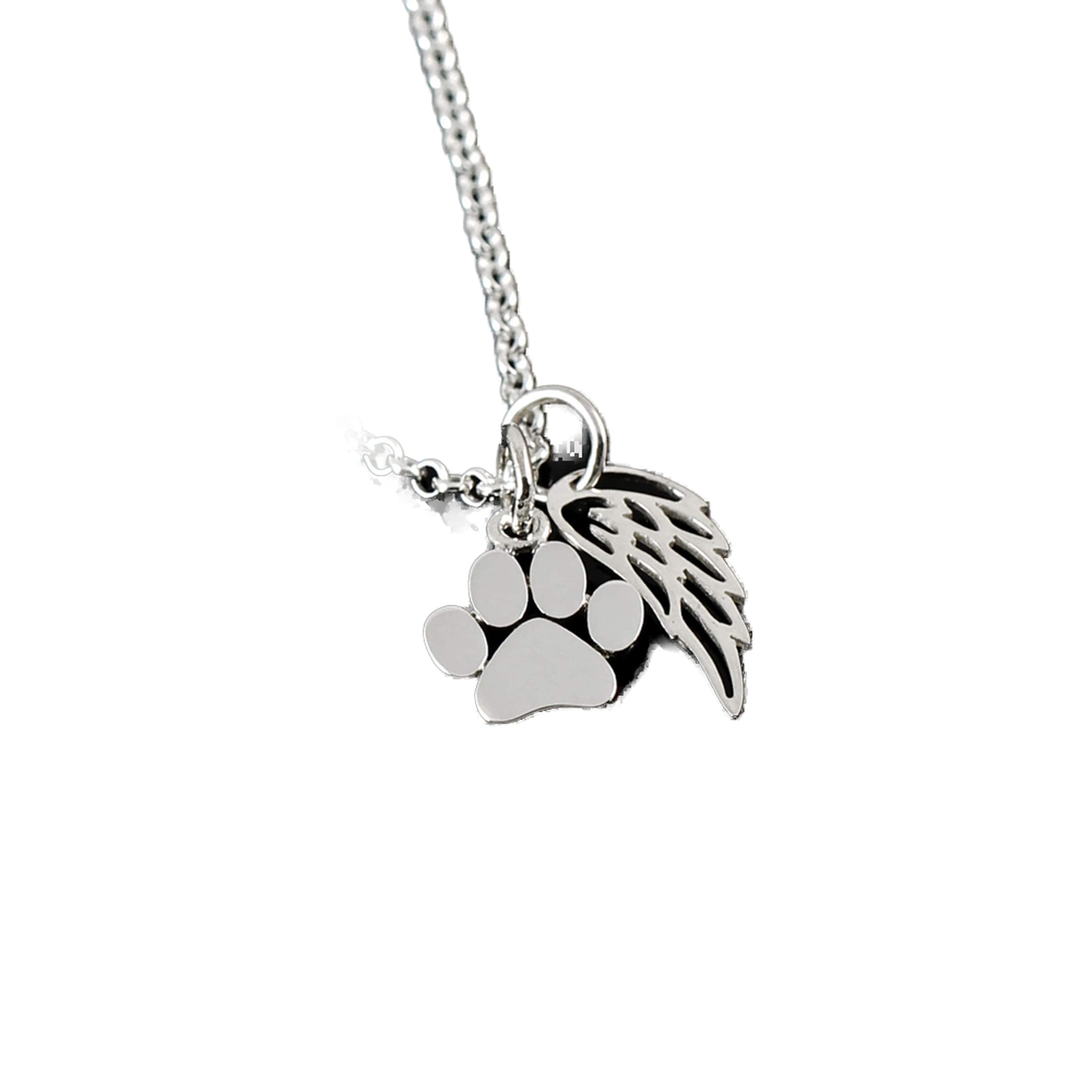 Pet Memorial Necklace for Women - Sterling Silver Paw Print & Angel Wing Charm - Sympathy Gift for Loss of Dog or Cat - Grieving Jewelry for Pet Lovers - Perfect for Remembrance, Comfort & Healing After Losing a Beloved Pet