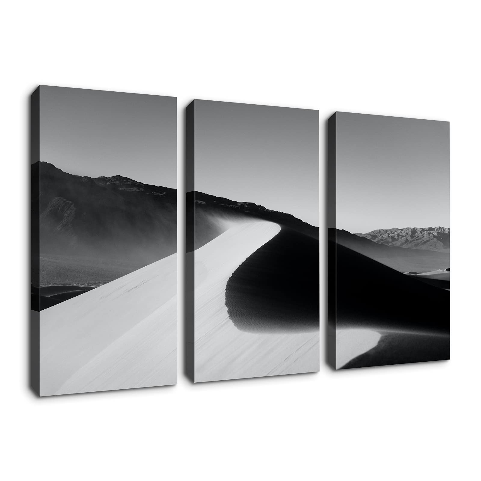 Denozer - 3 Panels Black and White Desert Landscape Canvas Wall Art - Stretched and Framed Ready to Hang - 20