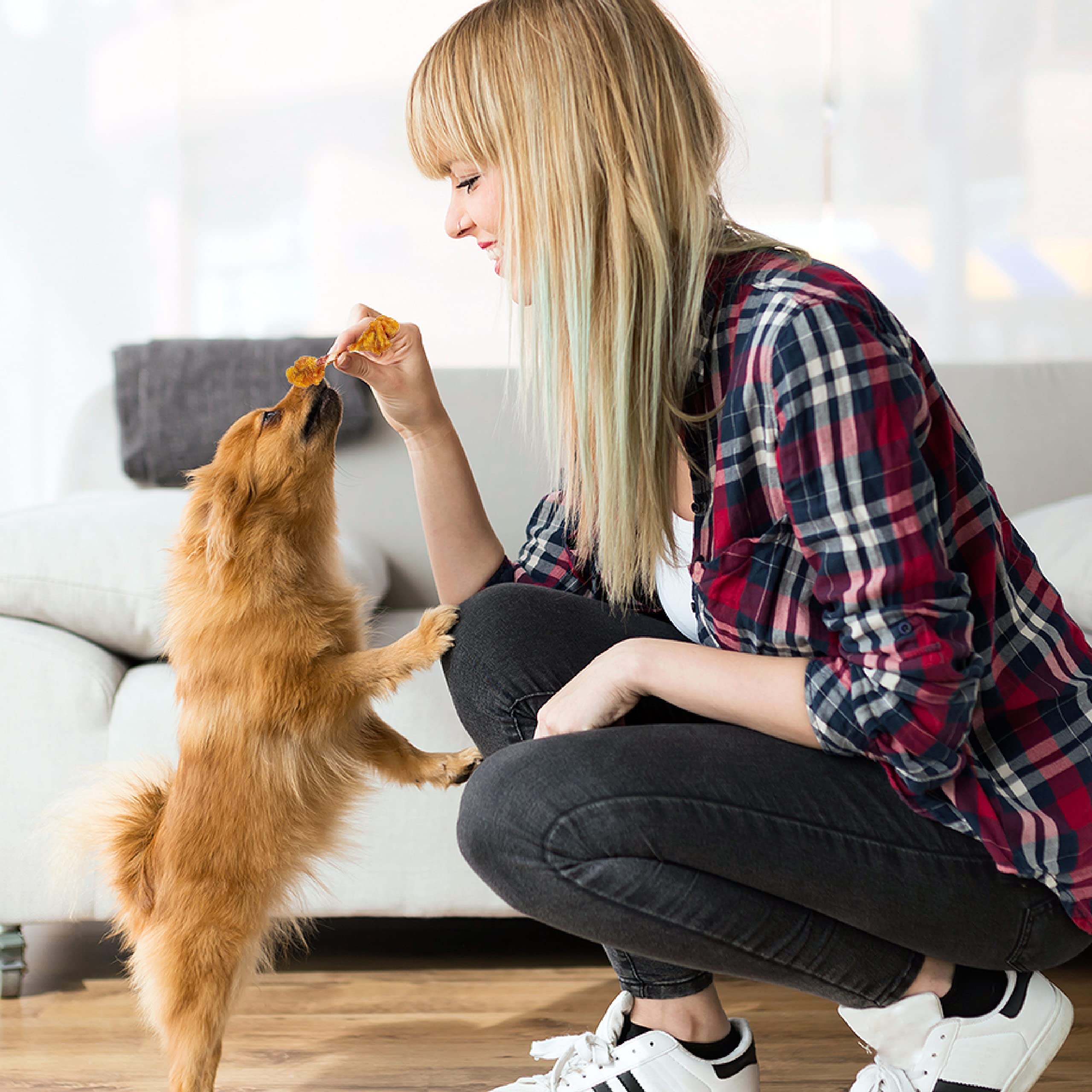 Premium Triple Flavor Double Pops Dog Treats with Chicken - 5.5oz Gourmet Chews for Small & Large Dogs - Perfect for Training, Rewards & Dental Health