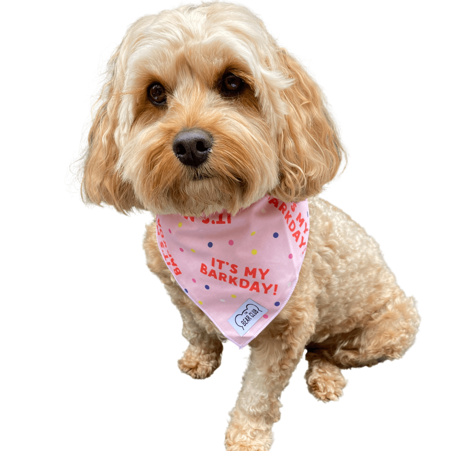 It's My Barkday