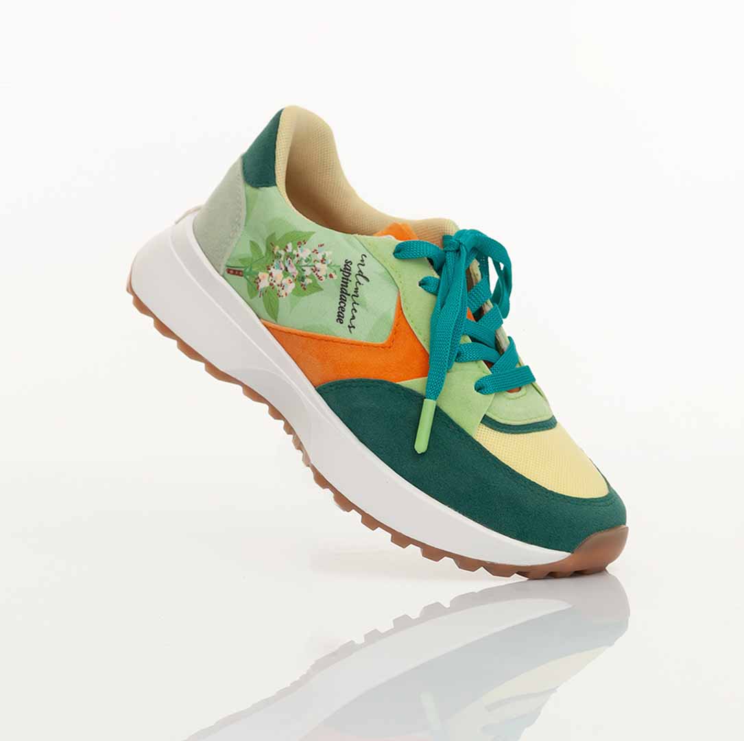 Endemic Cat's Claw & Sapindaceous Sneakers - Comfortable & Stylish Running Shoes for Men & Women - Perfect for Jogging, Gym Workouts & Casual Wear