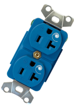 Cardas Audio 4181US Premium Duplex Power Outlet - High-End Electrical Receptacle for Audiophile Systems & Home Theater Setup