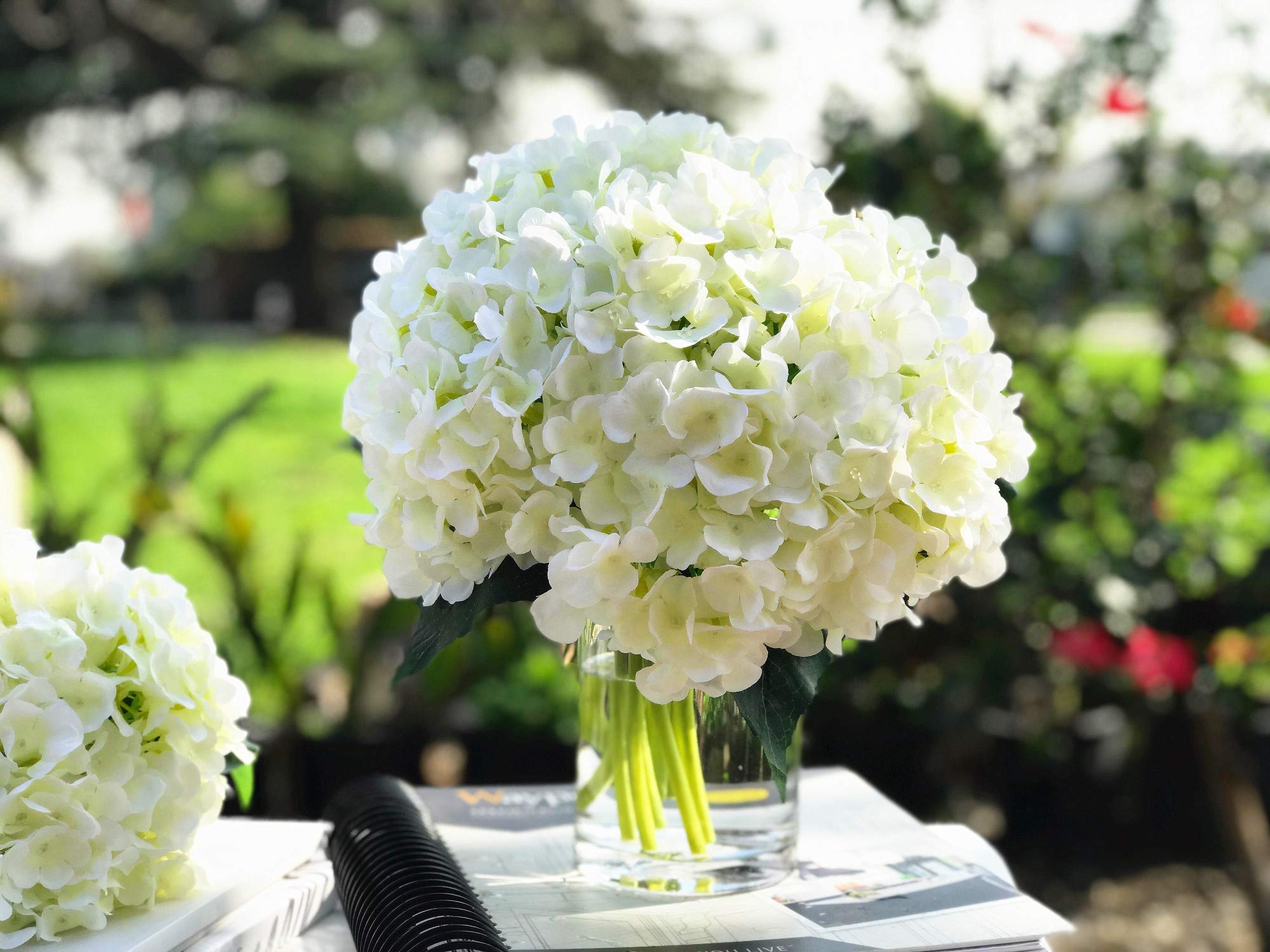 ENOVA HOME Artificial Silk Hydrangea Flower Bouquet in Clear Glass Vase with Faux Water - Cream Floral Arrangement for Wedding Centerpiece, Home Decor, Office & Tabletop Decoration