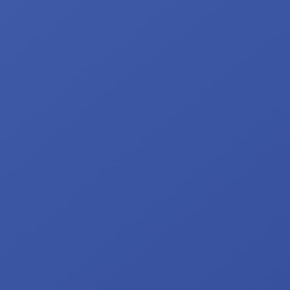 Navy Blue (Dated, Jan 2025-Jan 2026)