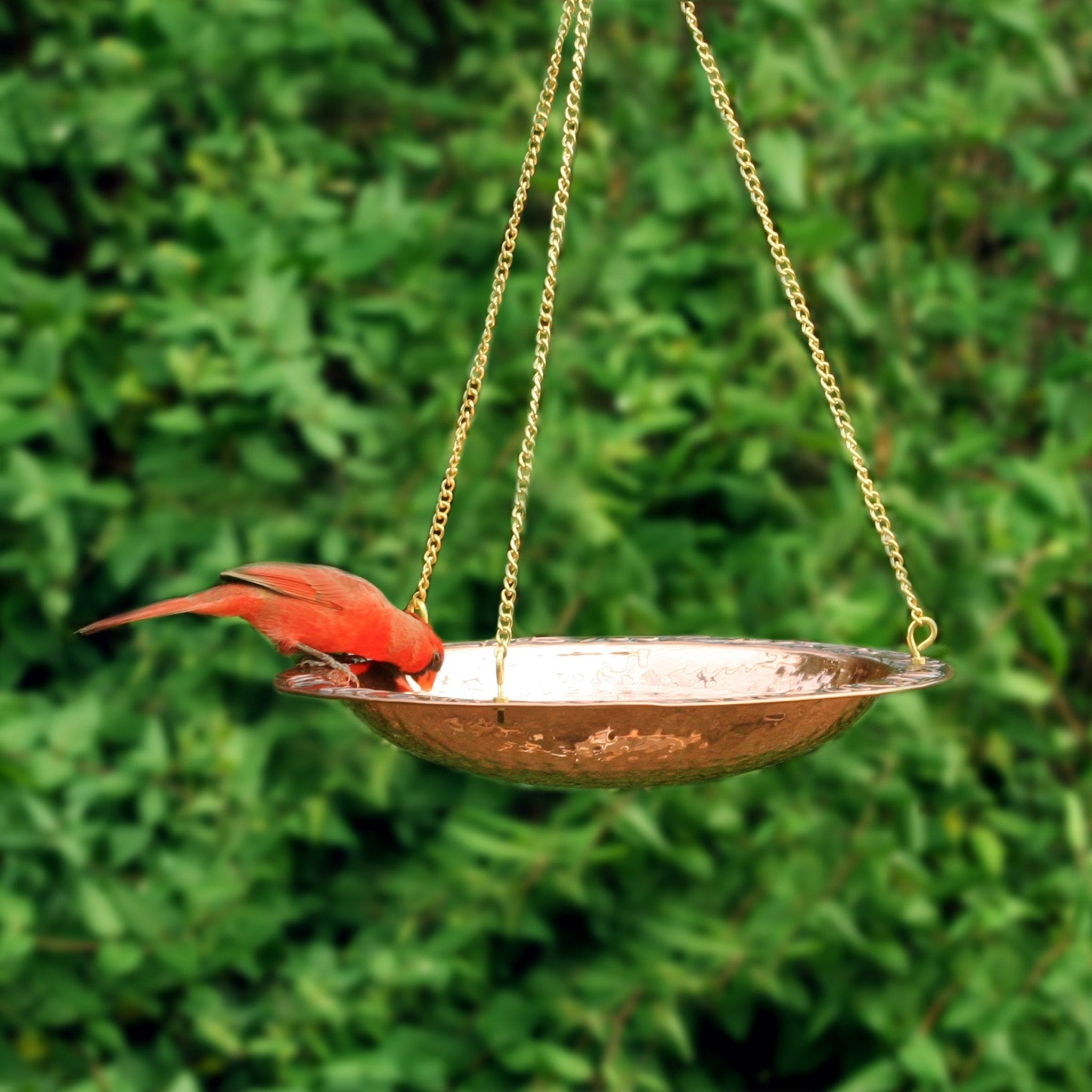 18-Inch Hanging Pure Copper Bird Bath for Garden, Patio & Outdoor Decor - Attracts Birds & Enhances Landscape Aesthetics