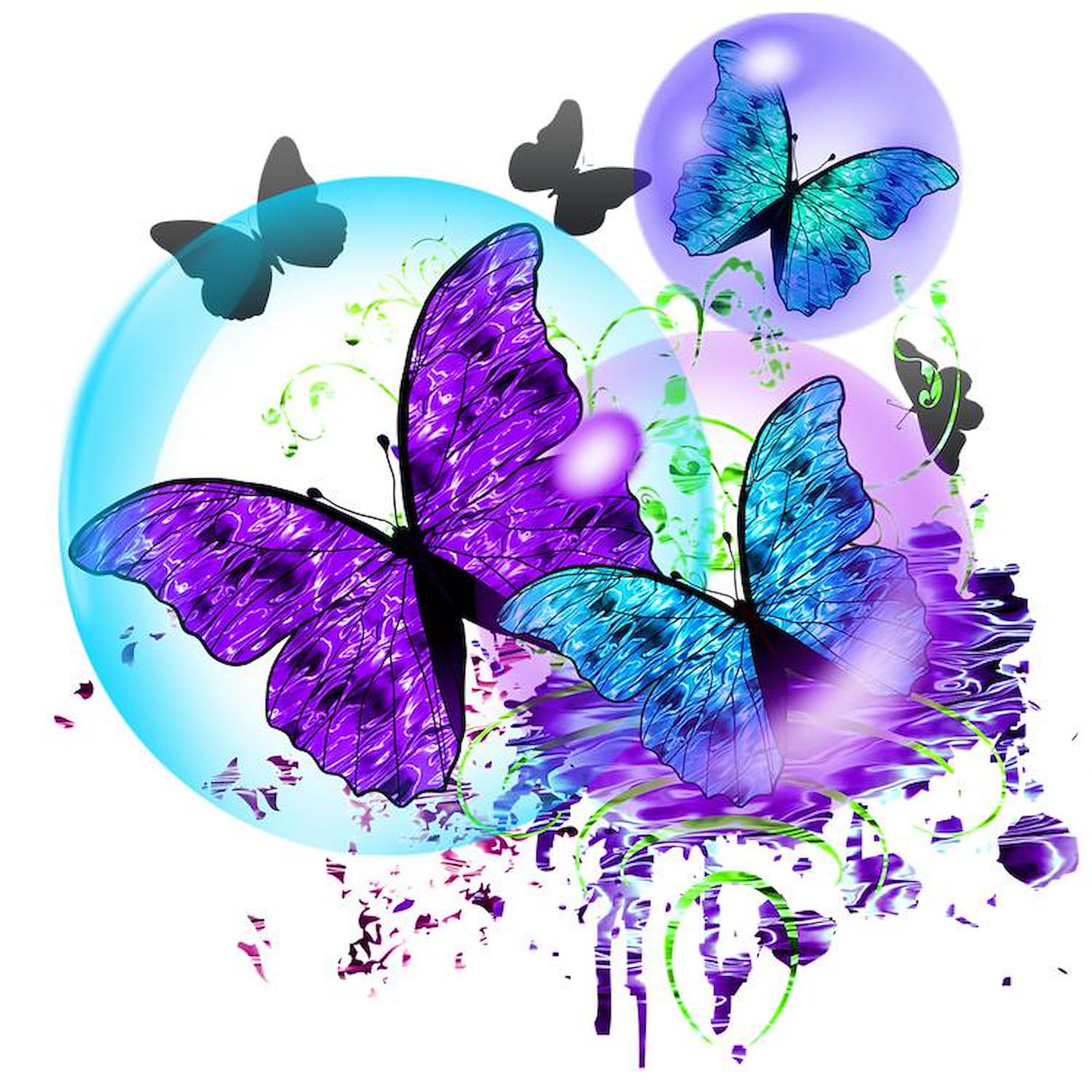 Butterfly Car Magnet - Euro Oval Bumper Sticker for Cars & Vehicles