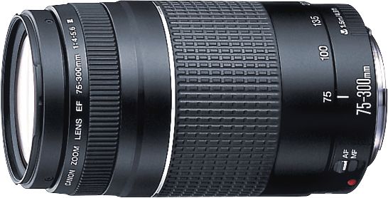 Canon EF 75-300mm f/4-5.6 III USM Telephoto Zoom Lens for DSLR Cameras - Professional Photography, Wildlife & Sports Shooting