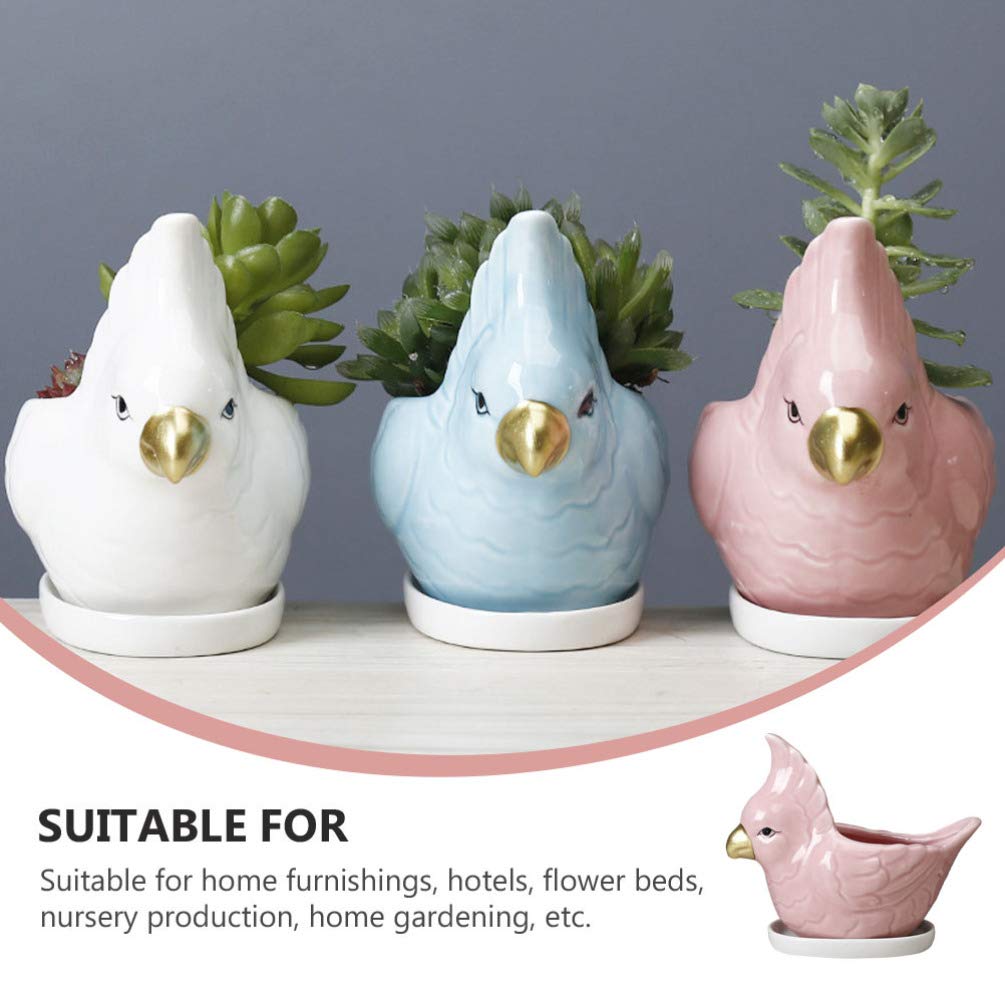Garneck Ceramic Flower Pot Set - Succulent Planter, Cartoon Design, Home & Garden Decor for Plants, Bonsai, Desktop - Perfect for Indoor Gardening, Office Decor, and Gift Giving