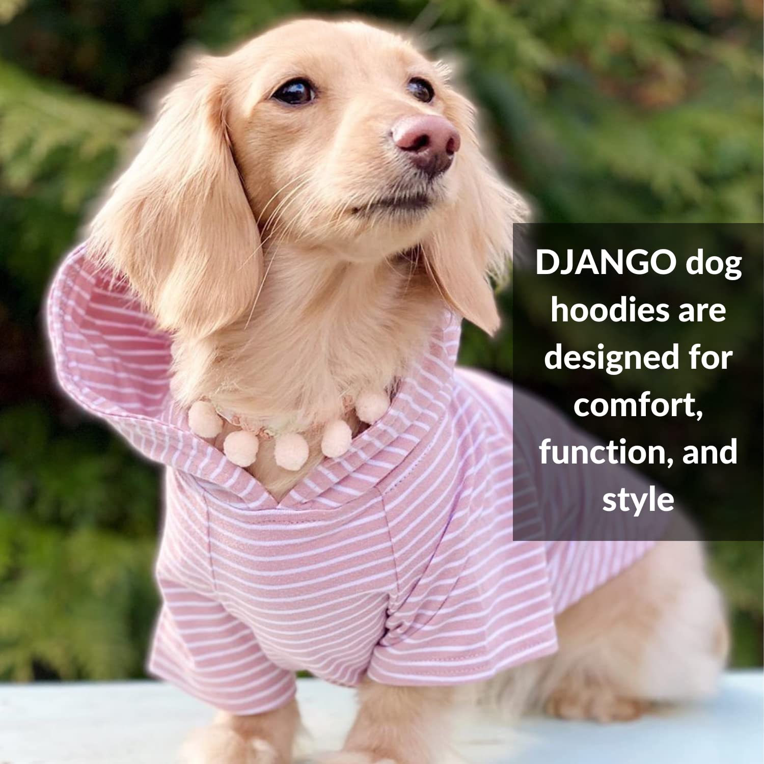 DJANGO Dog Hoodie - Soft & Stretchy Winter Sweater for Small Dogs & Dachshunds - Machine Washable Pet Hoodie with Elastic Waistband & Harness Hole - Cozy Blush Pink Dog Sweatshirt for Outdoor Walks & Indoor Lounging