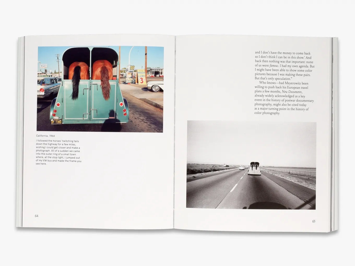 Joel Meyerowitz: A Question of Color - Photography Book for Artists & Collectors - Perfect for Home Decor, Studio Inspiration & Gift Ideas