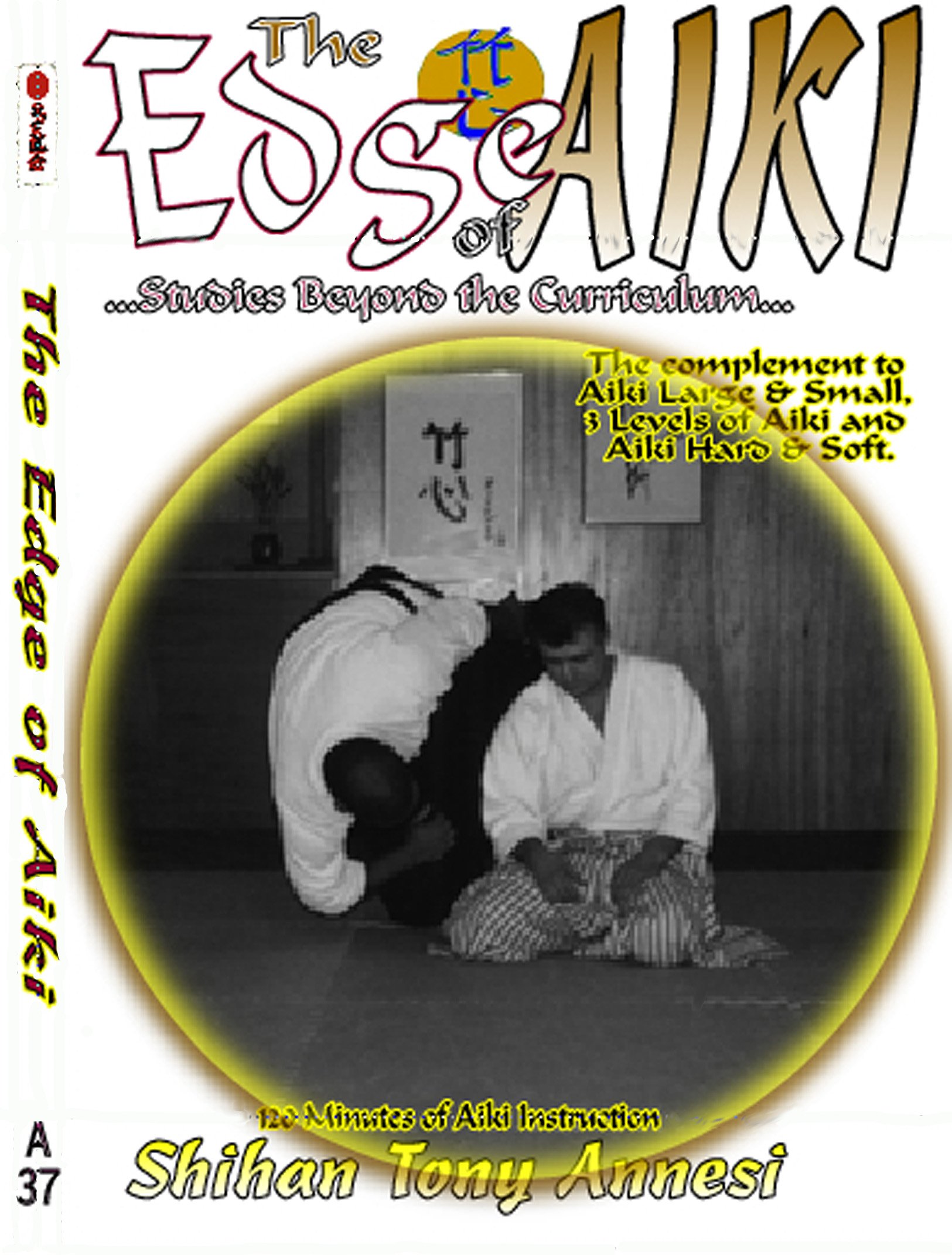 Aiki Plus Martial Arts Training Guide - Self Defense Techniques & Combat Skills for Beginners & Experts | Home, Dojo & Gym Use